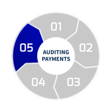 Auditing Payments